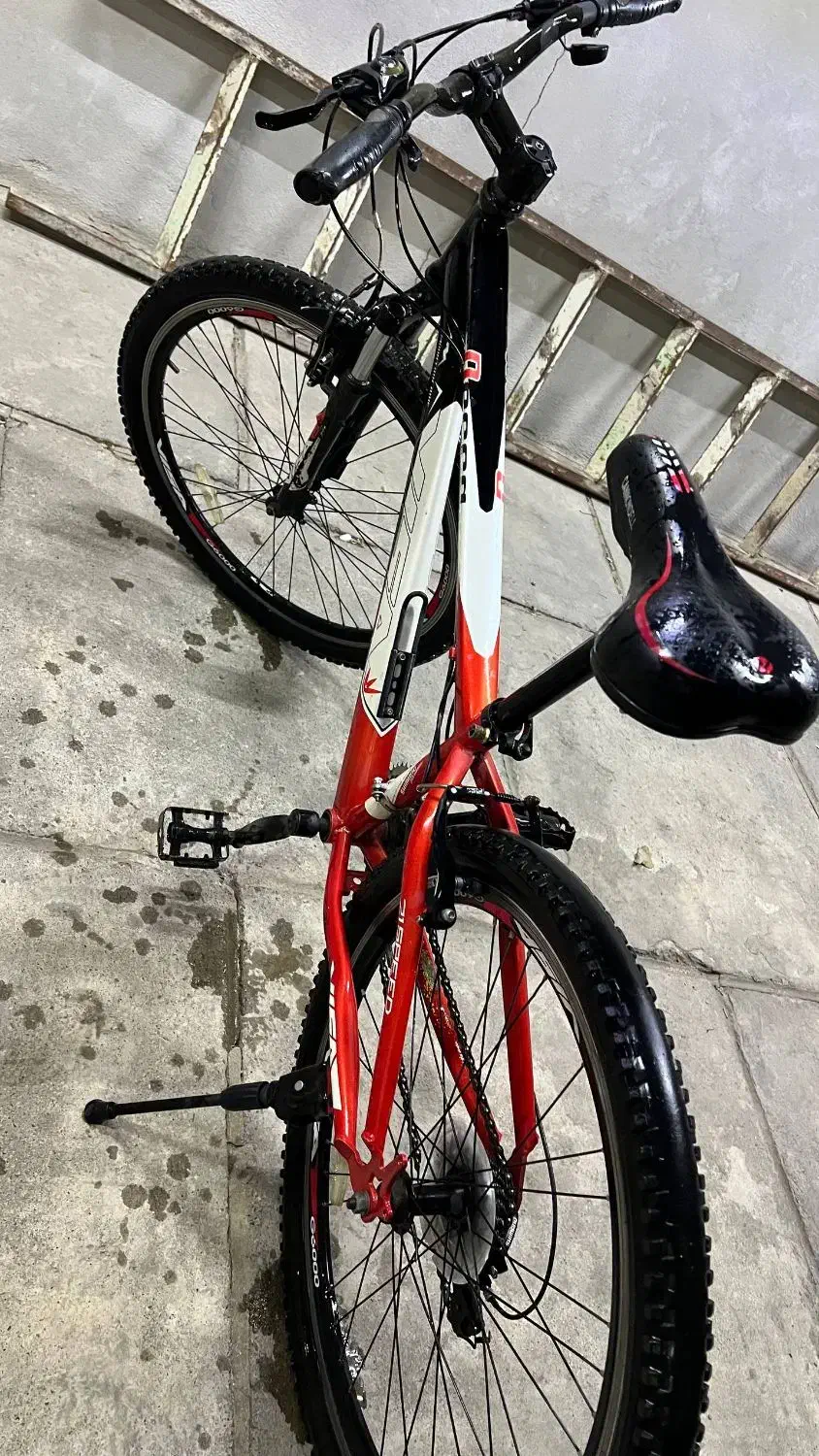 فروش دوچرخه|دوچرخه، اسکیت، اسکوتر|سقز, |دیوار