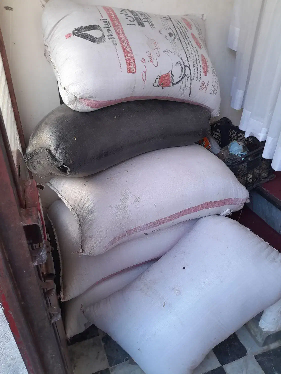 گندم|عمدهفروشی|اردبیل, |دیوار