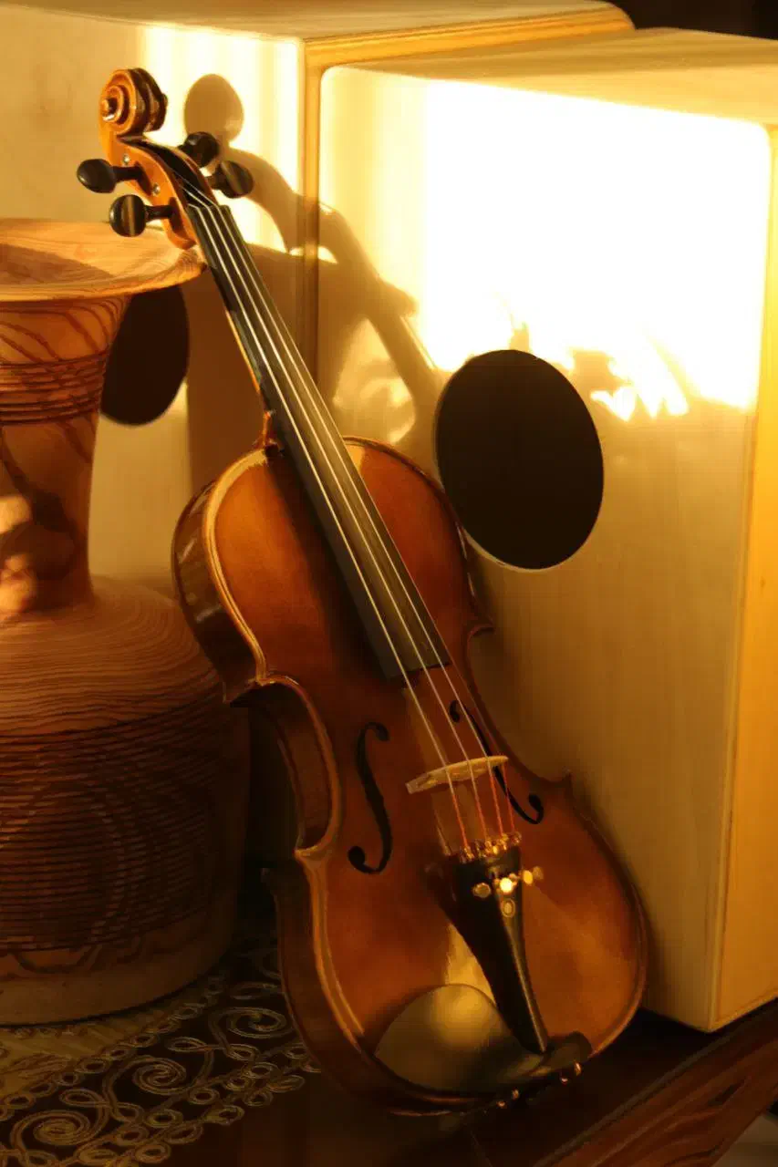 ویولن های فونیکس و ریچارد بونل|ویولن|همدان, |دیوار