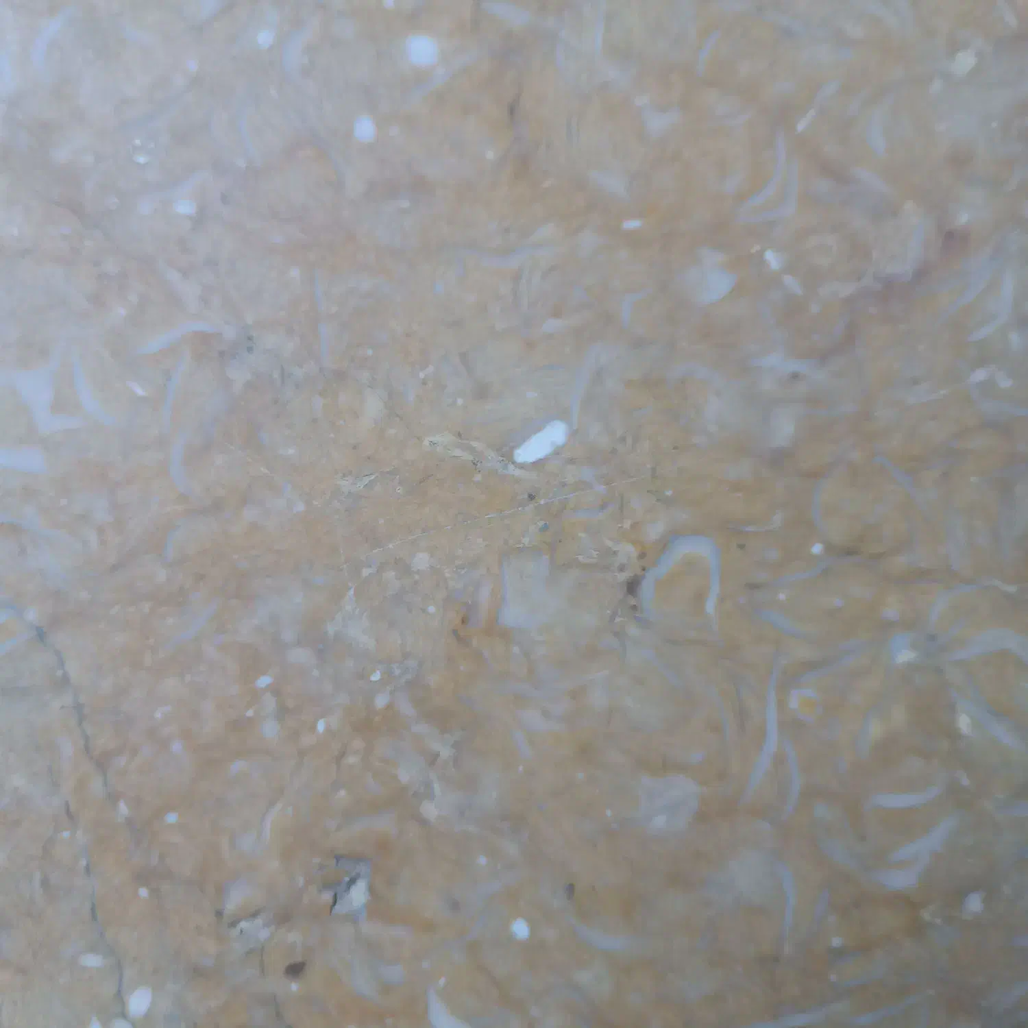 مجتمع تجاری خلیج فارس ، مناسب دفتر کار|اجارهٔ دفتر کار، اتاق اداری، مطب|شیراز, شهرک قمشه|دیوار