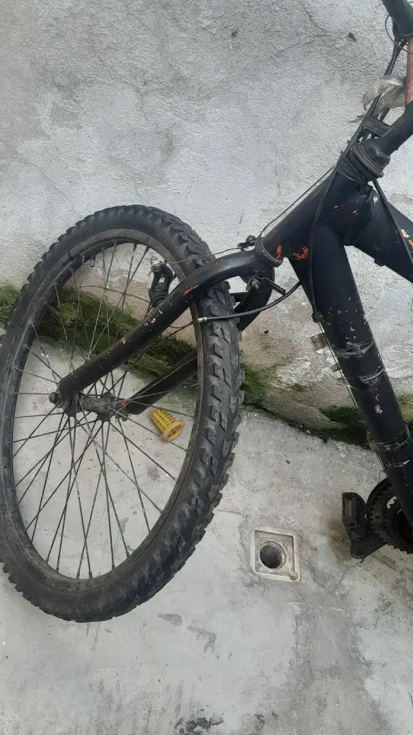 دوچرخه ۲۴|دوچرخه، اسکیت، اسکوتر|رشت, سلیمانداراب|دیوار