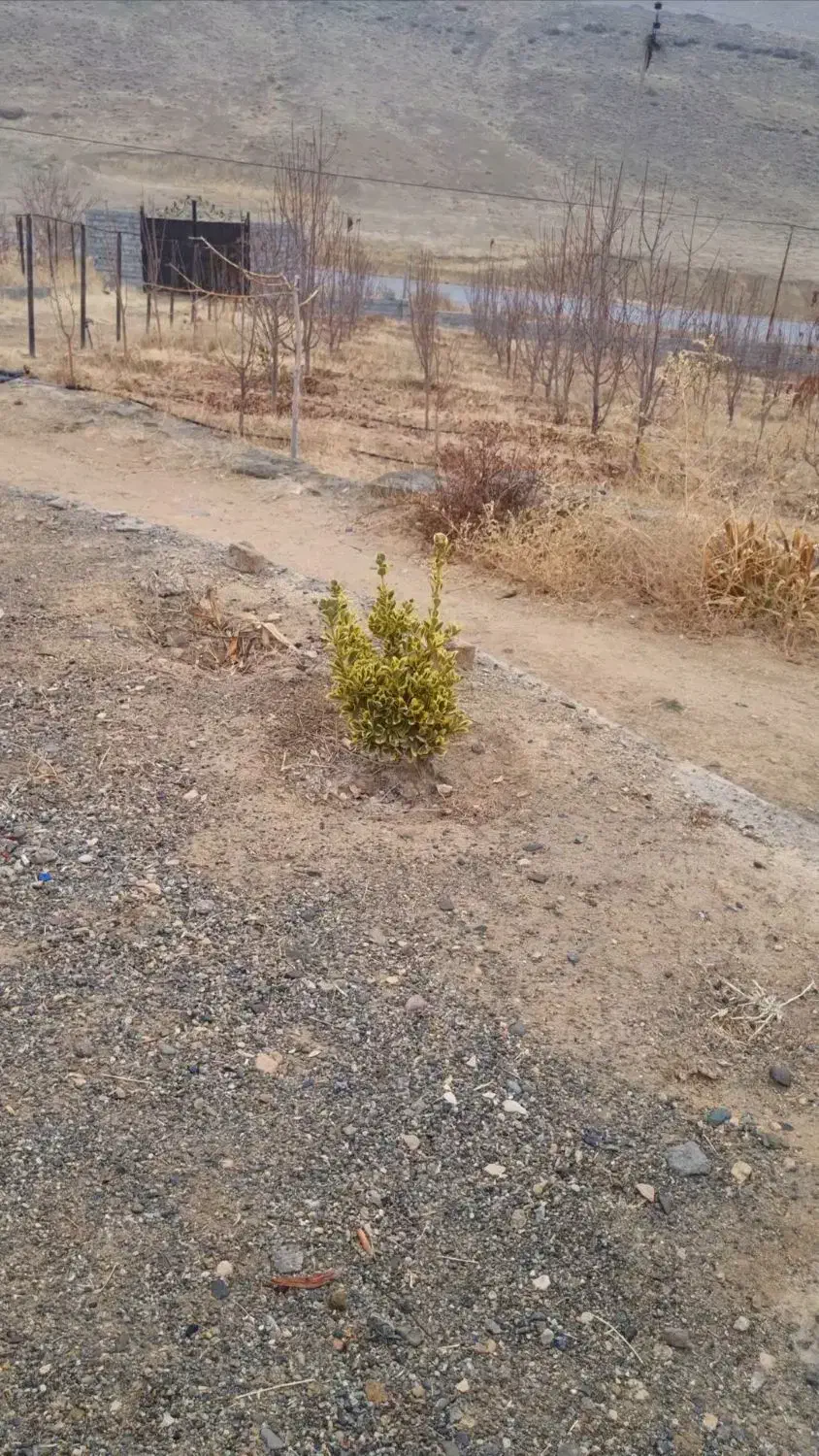 باغچه|فروش دفتر صنعتی، کشاورزی، تجاری|سیلوانه, |دیوار