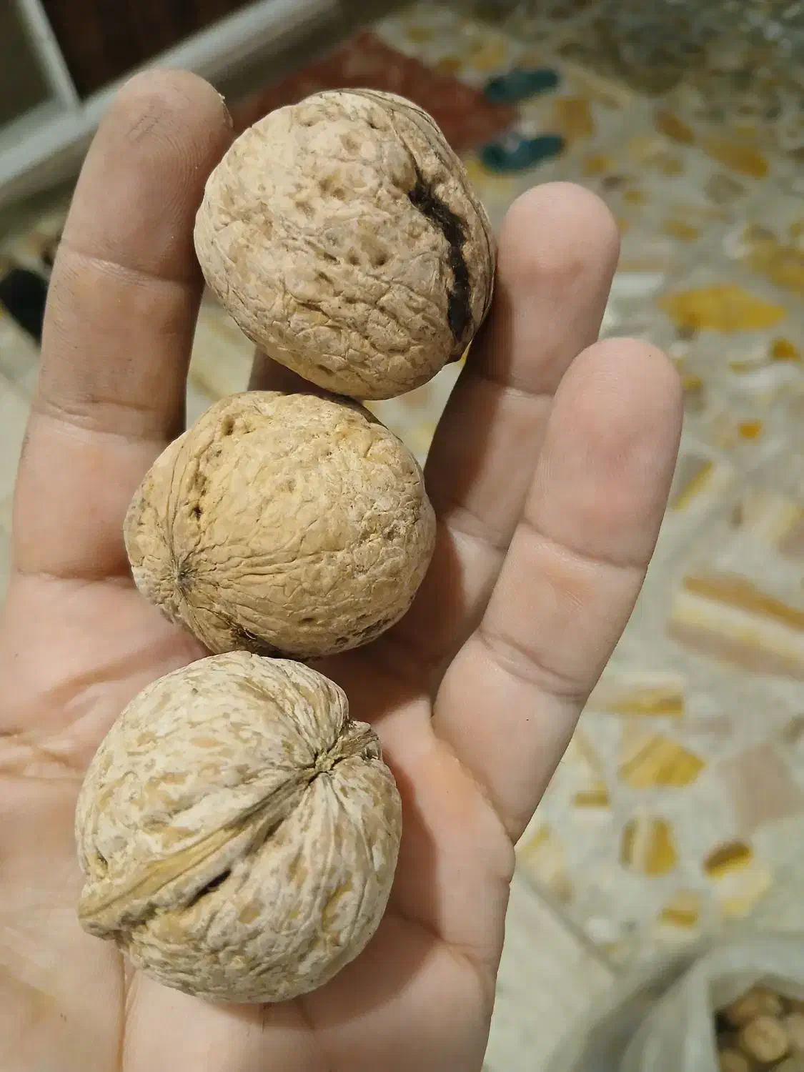 گردو وخشک بارگردوی همدان|خوردنی و آشامیدنی|آمل, |دیوار