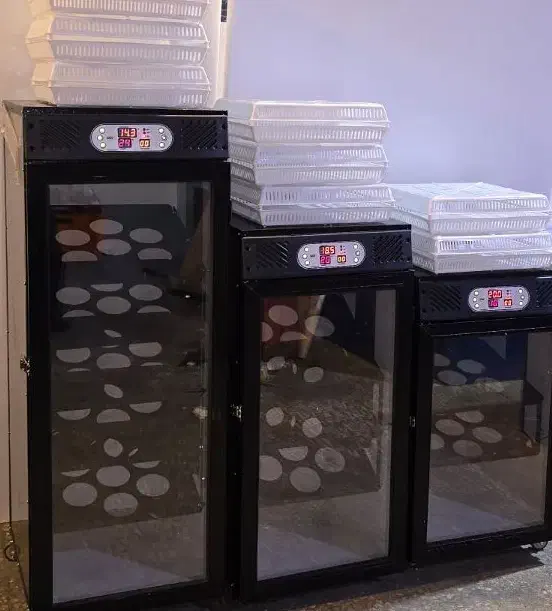 کسب درآمد عالی بادستگاه، جوجهکشی و پرورش طیور|ماشینآلات صنعتی|کرمانشاه, |دیوار