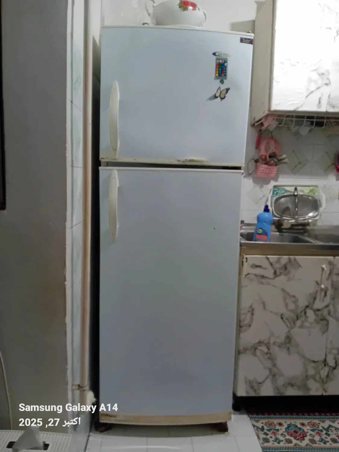 یخچال پارس شوا|یخچال و فریزر|رشت, اسماعیل آباد|دیوار