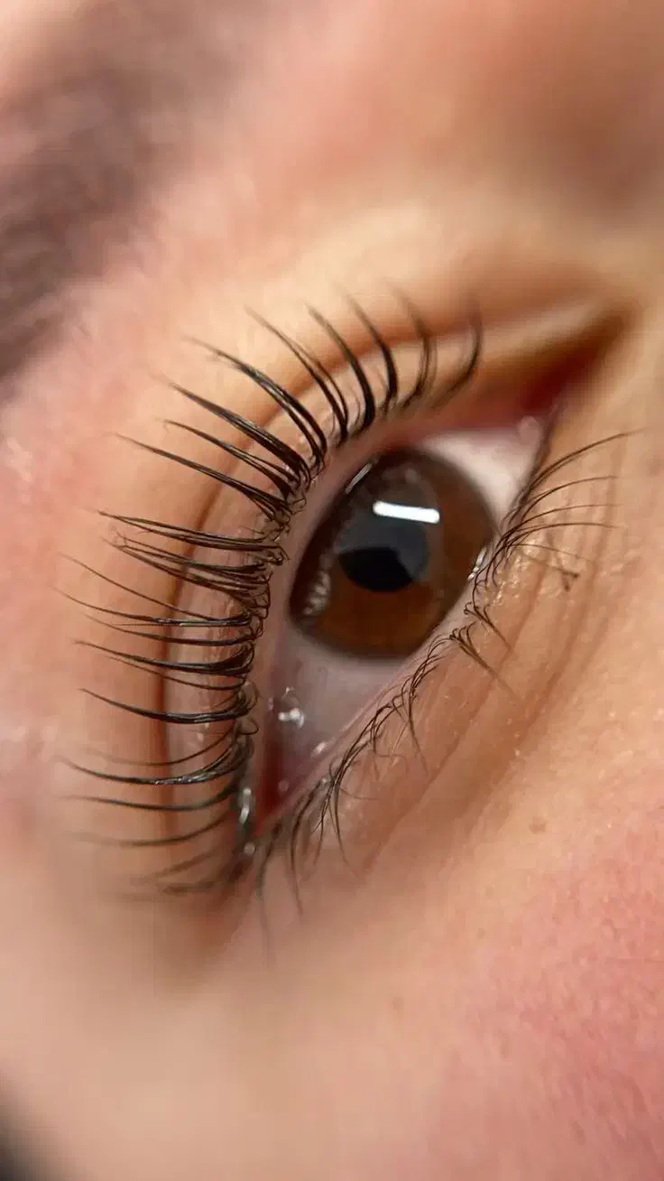 مدل برای لیفت و لمینیت ابرو و مژه|خدمات آرایشگری و زیبایی|لاهیجان, قیام|دیوار