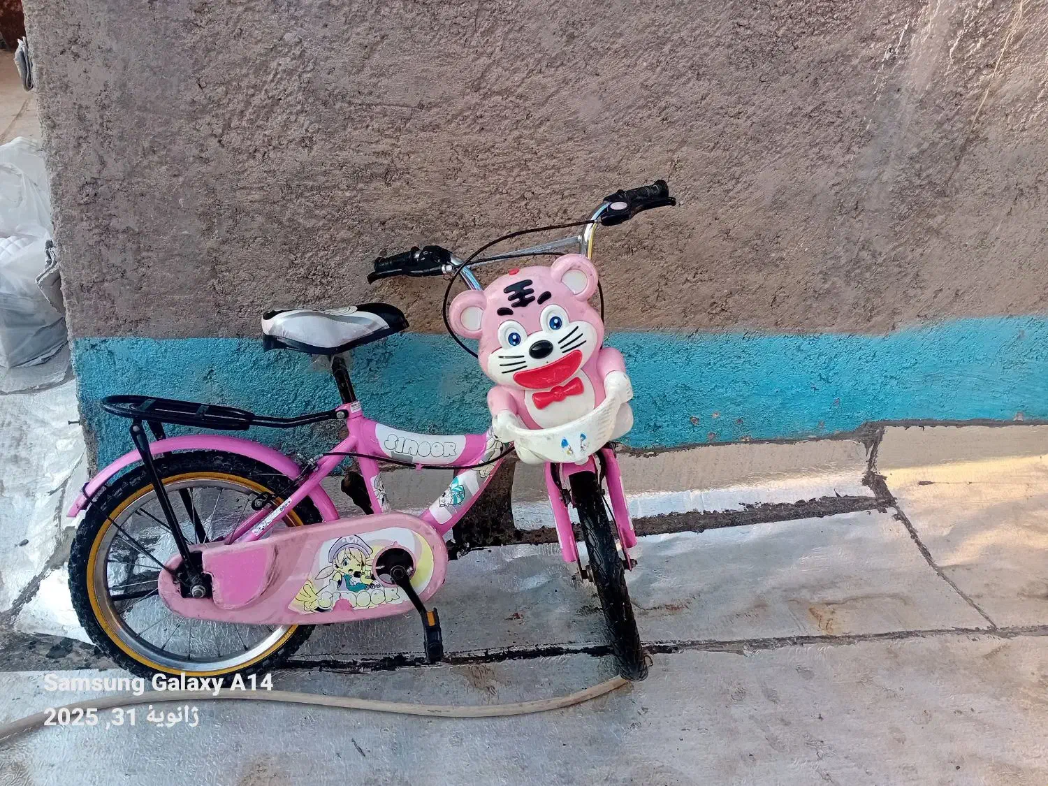 دوچرخه|دوچرخه، اسکیت، اسکوتر|قم, چهار امامزاده|دیوار