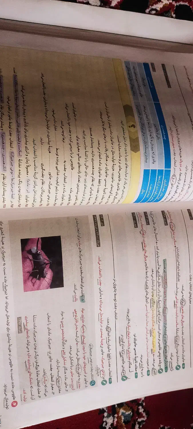 فرمول بیست زیست دوازدهم|کتاب و مجله آموزشی|سراوان, |دیوار