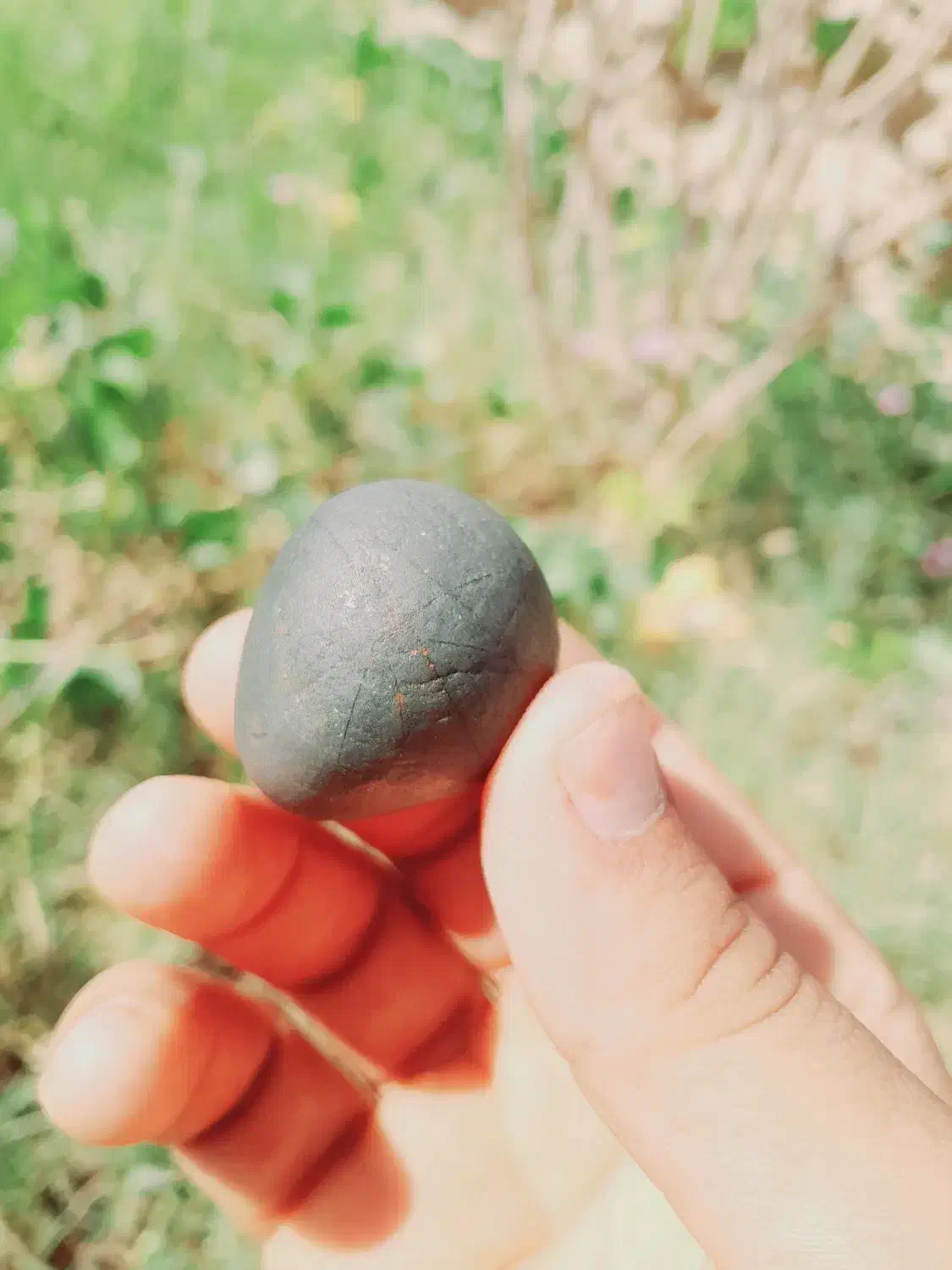 جواهر ارزشمند|کلکسیون اشیاء عتیقه|فین, |دیوار