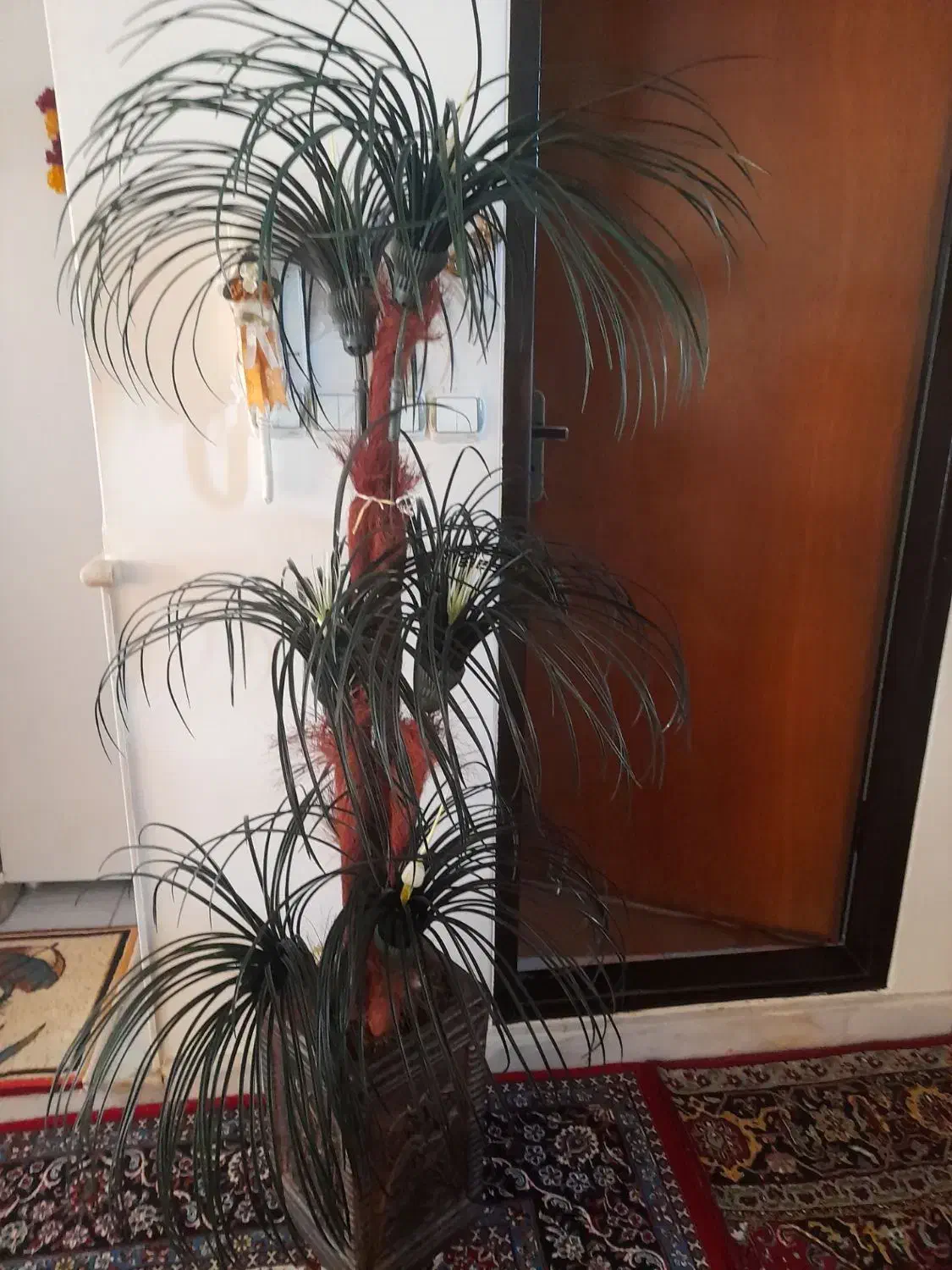 درختچه نخل مصنوعی|گل مصنوعی|مراغه, |دیوار