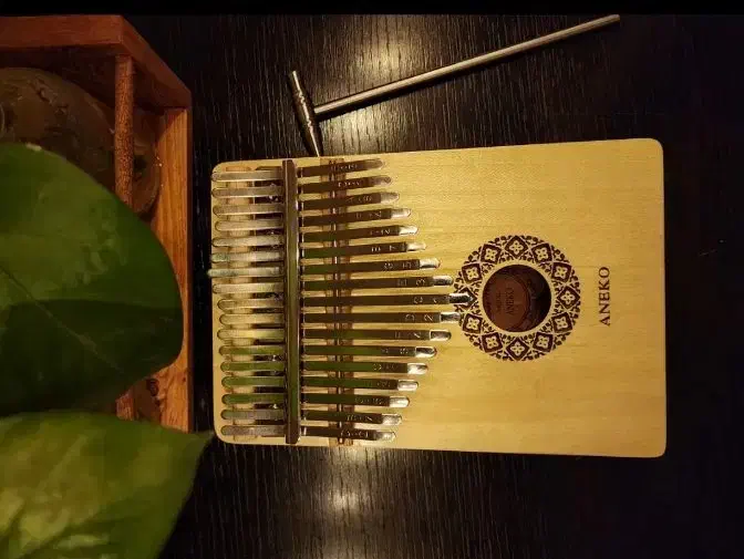 ساز کالیمبا|سازهای سنتی|سمنان, |دیوار