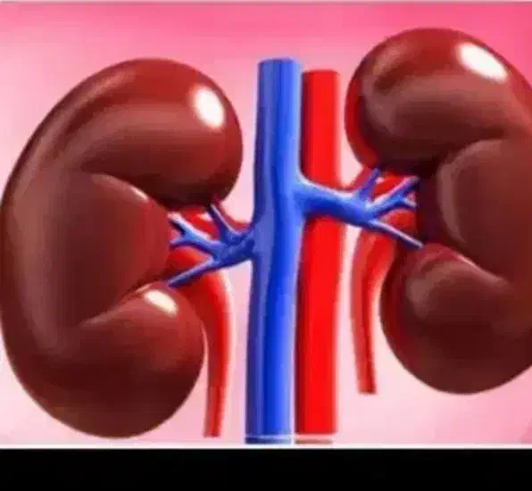 اهدا|فعالیت داوطلبانه|قمصر, |دیوار