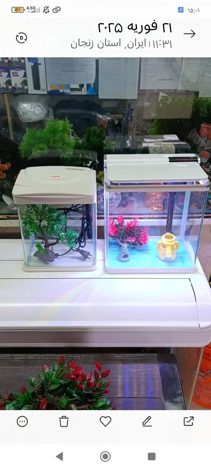 بارجدیدماهی ولوازم درآکواریوم ونوس رسید|ماهی|زنجان, |دیوار