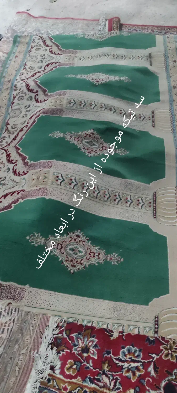 فرش وکناره ترتمیز|فرش|مراغه, |دیوار