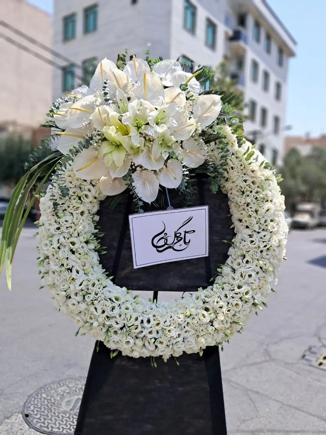 تاج گل اروپایی ترحیم|گل و گیاه طبیعی|تهران, میرداماد|دیوار