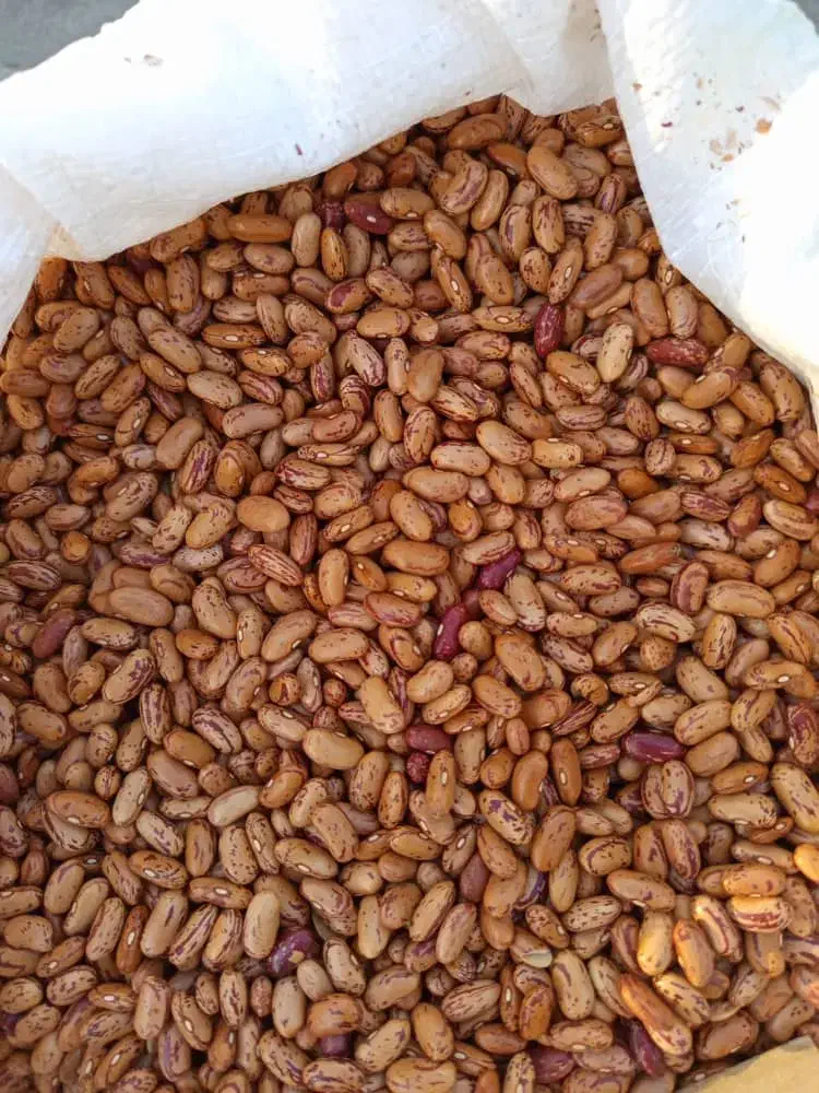 پخش خیارشور همدان لوبیا چیتی عدس و...|خوردنی و آشامیدنی|کرج, محمود آباد|دیوار