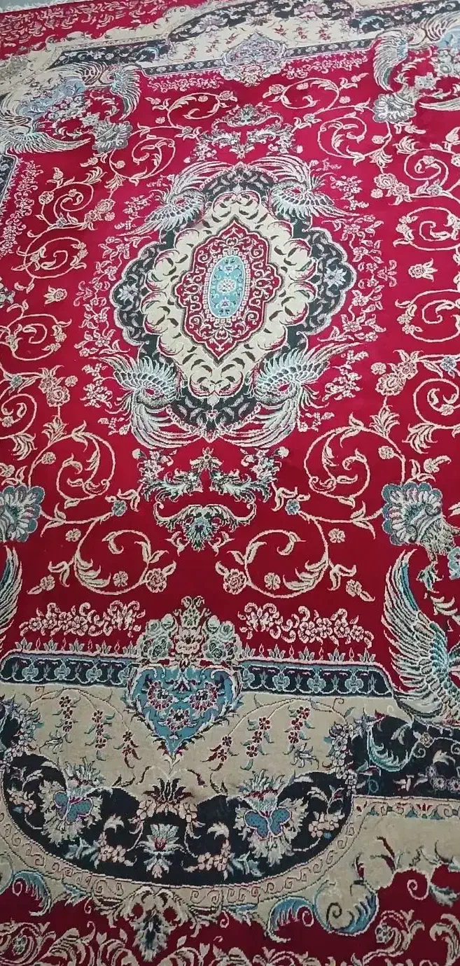 دو عدد قالی ۱۲ متری لاکی|فرش|سیرجان, |دیوار