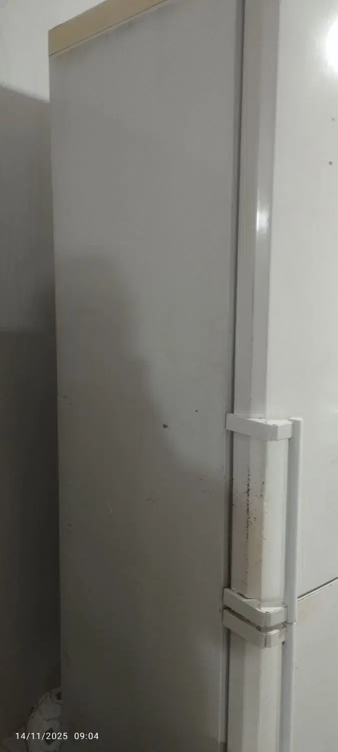 یخچال فریزر اصل سامسونگ کره|یخچال و فریزر|ماسال, |دیوار