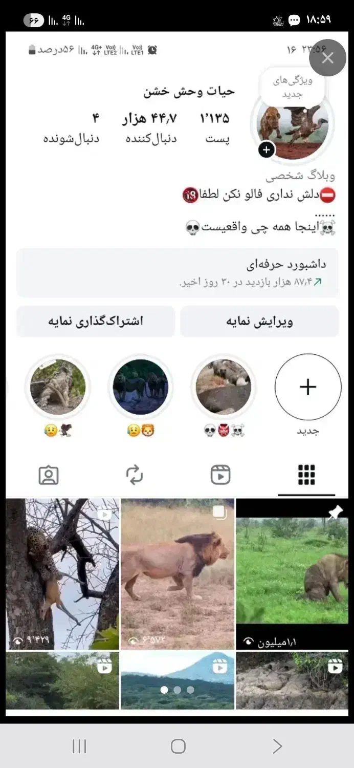 پیج فروشی|لوازم جانبی موبایل و تبلت|بندرعباس, |دیوار