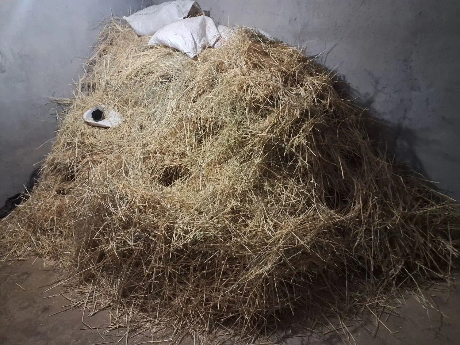 کلش|لوازم جانبی حیوانات|جوین, |دیوار