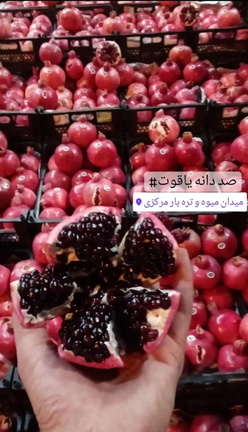 انار .پرتقال .سیب.موز.میوه|خوردنی و آشامیدنی|تهران, میدان میوه و ترهبار مرکزی|دیوار