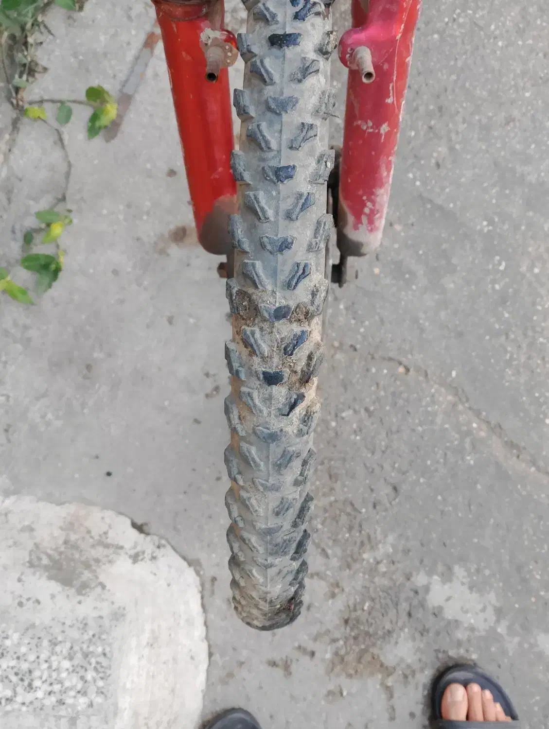 دوچرخه|دوچرخه، اسکیت، اسکوتر|کلاله, |دیوار