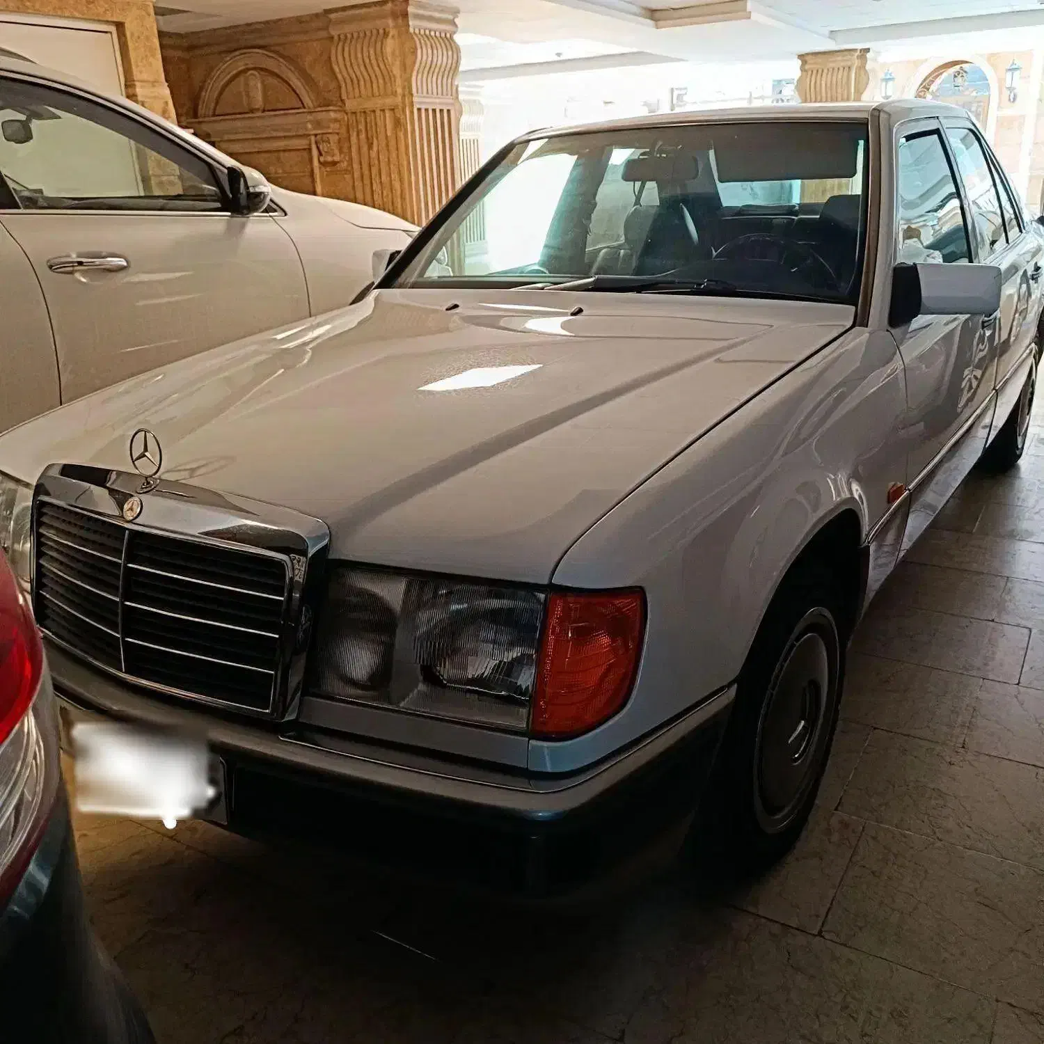 خودرو|خودرو سواری و وانت|رشت, کاکتوس|دیوار