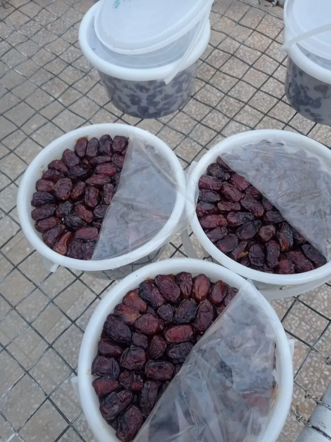 خرمای خاصویی درجه یک بهبهان تازه برداشت امسال|خوردنی و آشامیدنی|تهران, مرزداران|دیوار