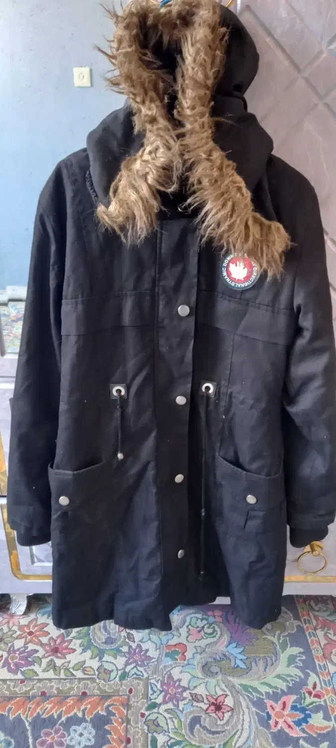 پالتو|لباس|کرمان, |دیوار