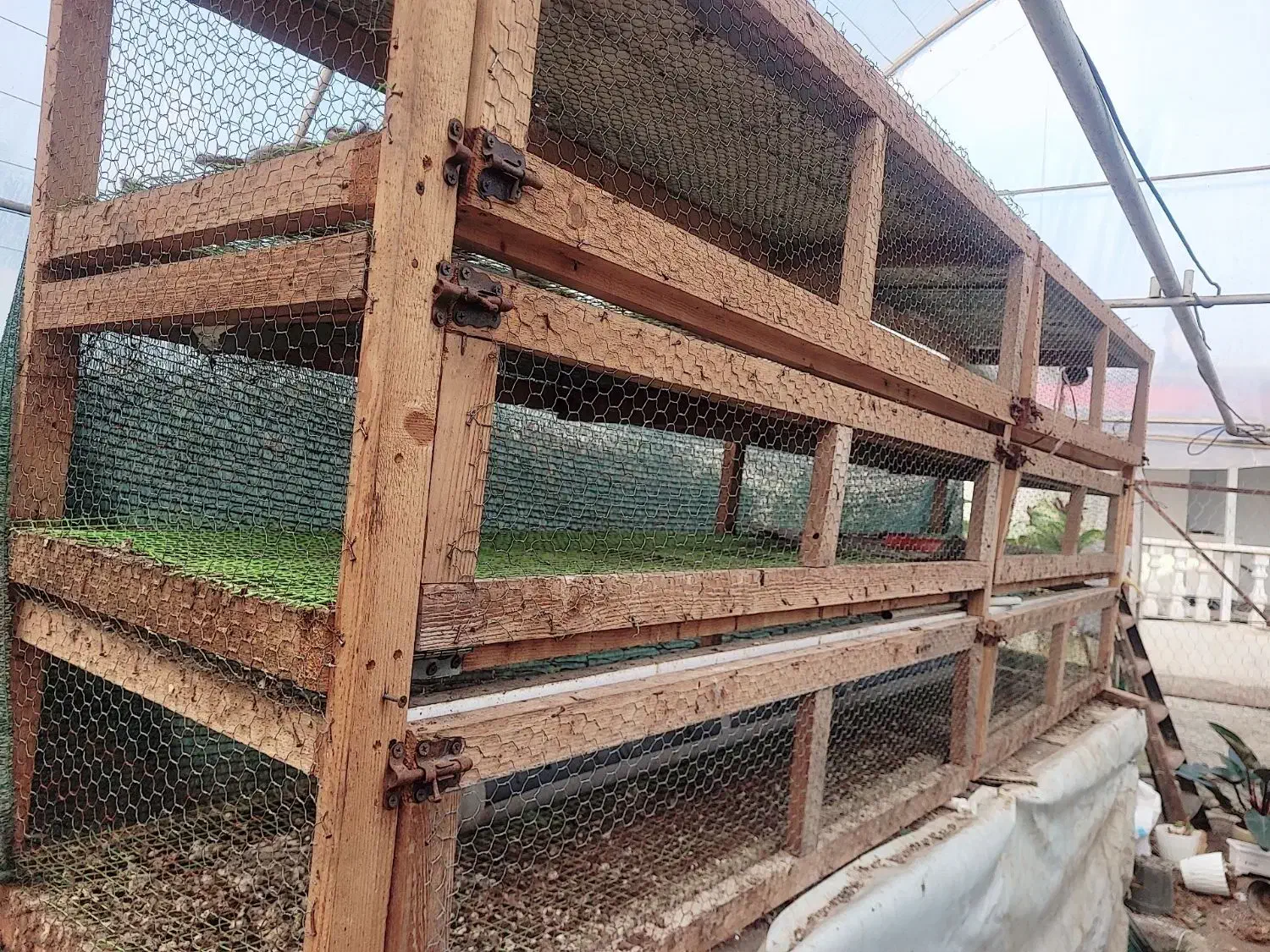 قفس ۳ طبقه پرندگان|لوازم جانبی حیوانات|خرمآباد (تنکابن), |دیوار