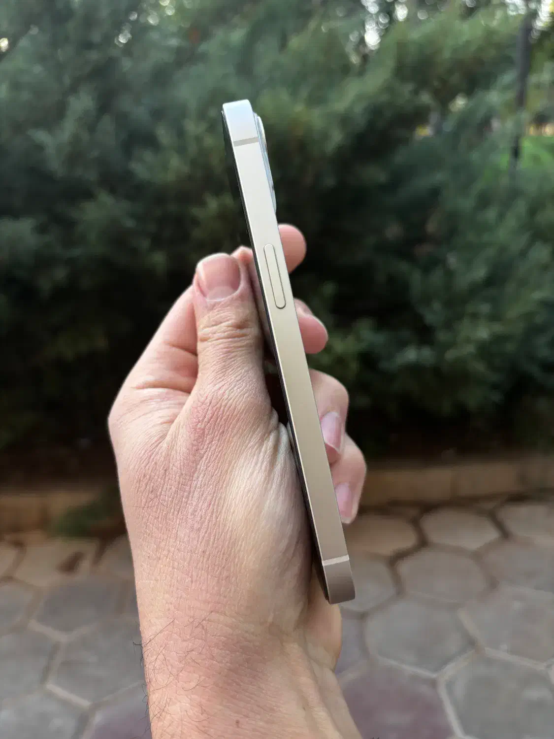 IPhone 13 128 CH|موبایل|شهرکرد, |دیوار