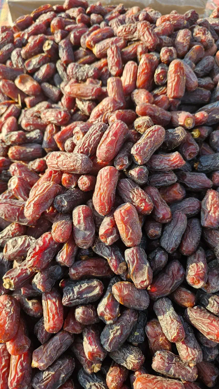 فروش تناژ خرما پیارم|خوردنی و آشامیدنی|اوز, |دیوار