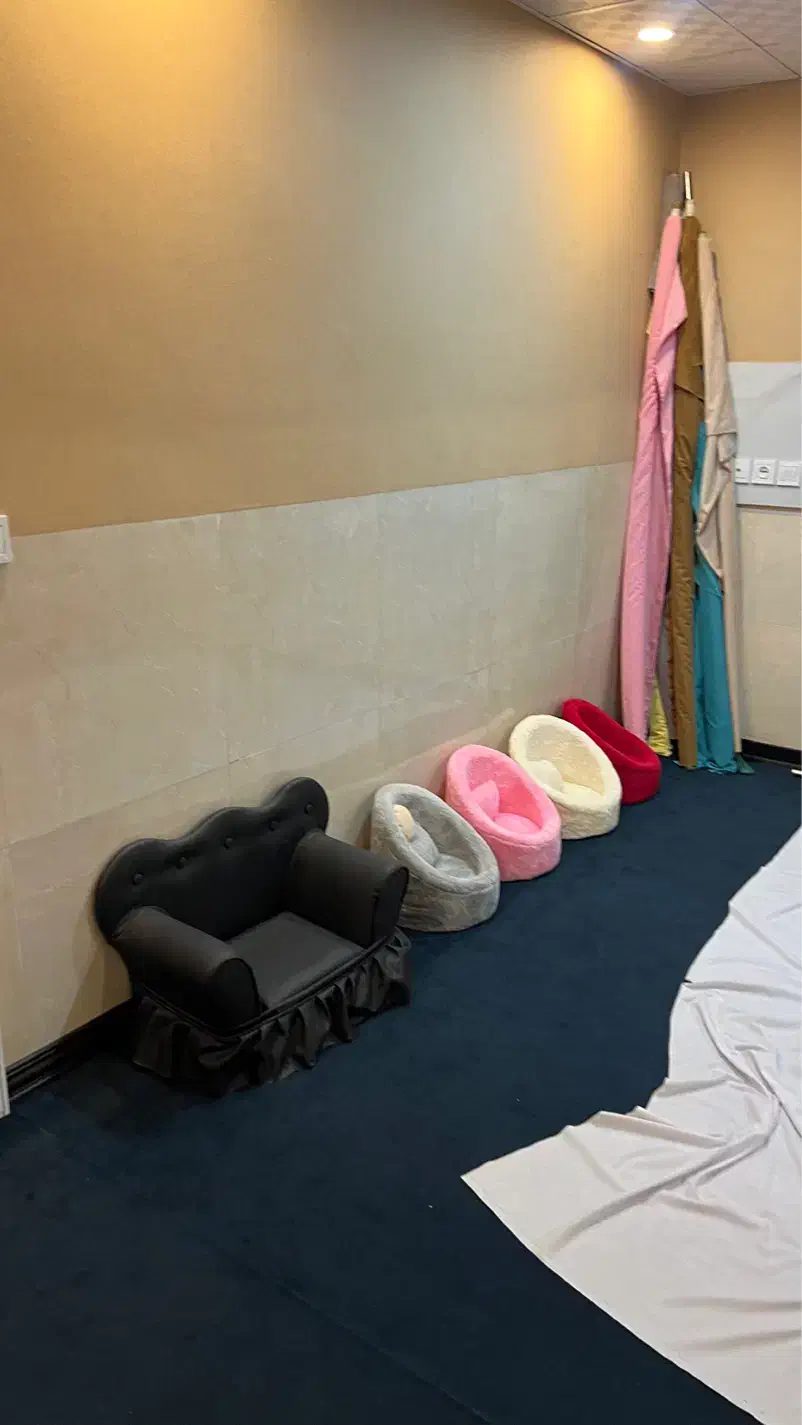 دکور اتلیه|دوربین عکاسی و فیلم‌برداری|همدان, |دیوار