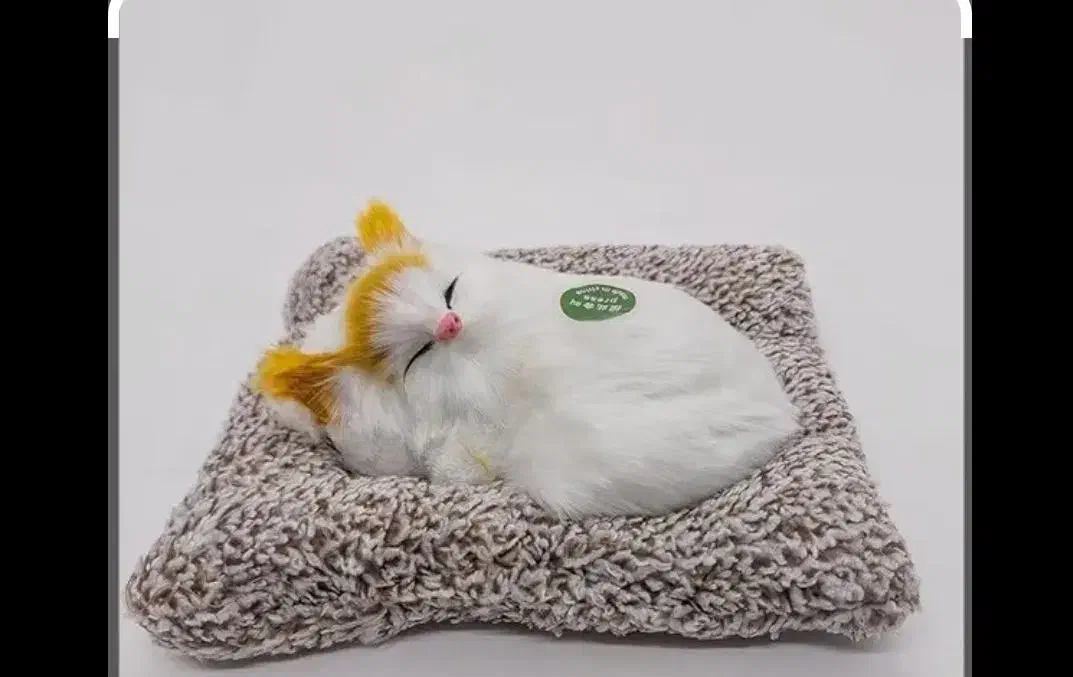 گربه|اسباب‌‌بازی|بجنورد, |دیوار