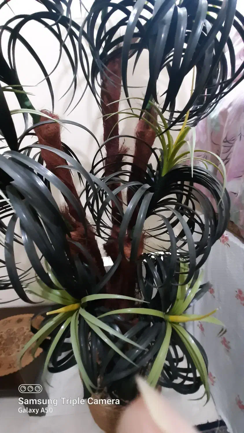 فروش نخل مصنوعی خارجی|گل مصنوعی|برخوار, |دیوار