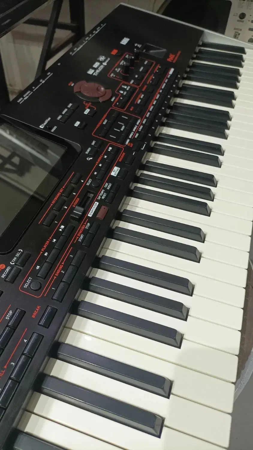 کرگ pa4x|پیانو، کیبورد، آکاردئون|ارومیه, |دیوار