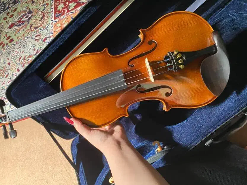 آلات موسیقی|ویولن|قزوین, |دیوار