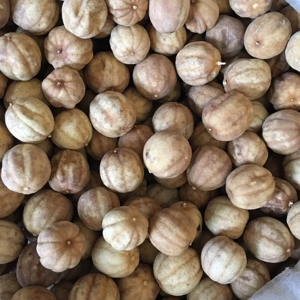 لیمو عمانی|خوردنی و آشامیدنی|شیراز, شهرک سراج‎|دیوار
