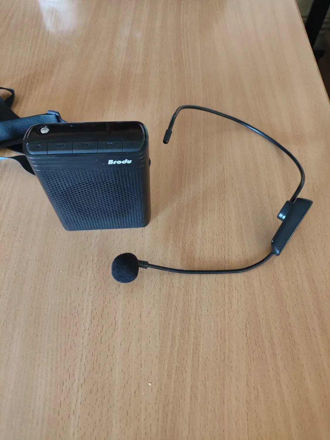 اسپیکر همراه با میکروفن بی سیم|پخش‌کننده همراه|کرمان, |دیوار