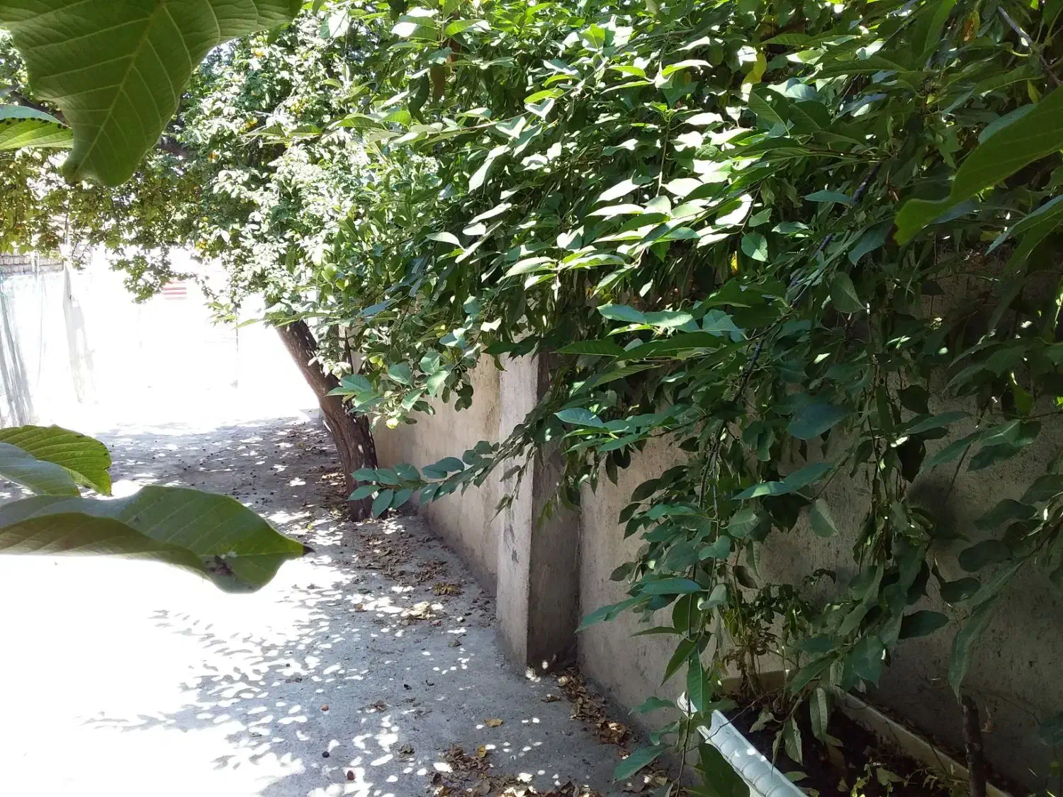 اجاره خانه ویلا ۲۰۰ متری دو خوابه دربست|اجارهٔ خانه و ویلا|خوی, |دیوار