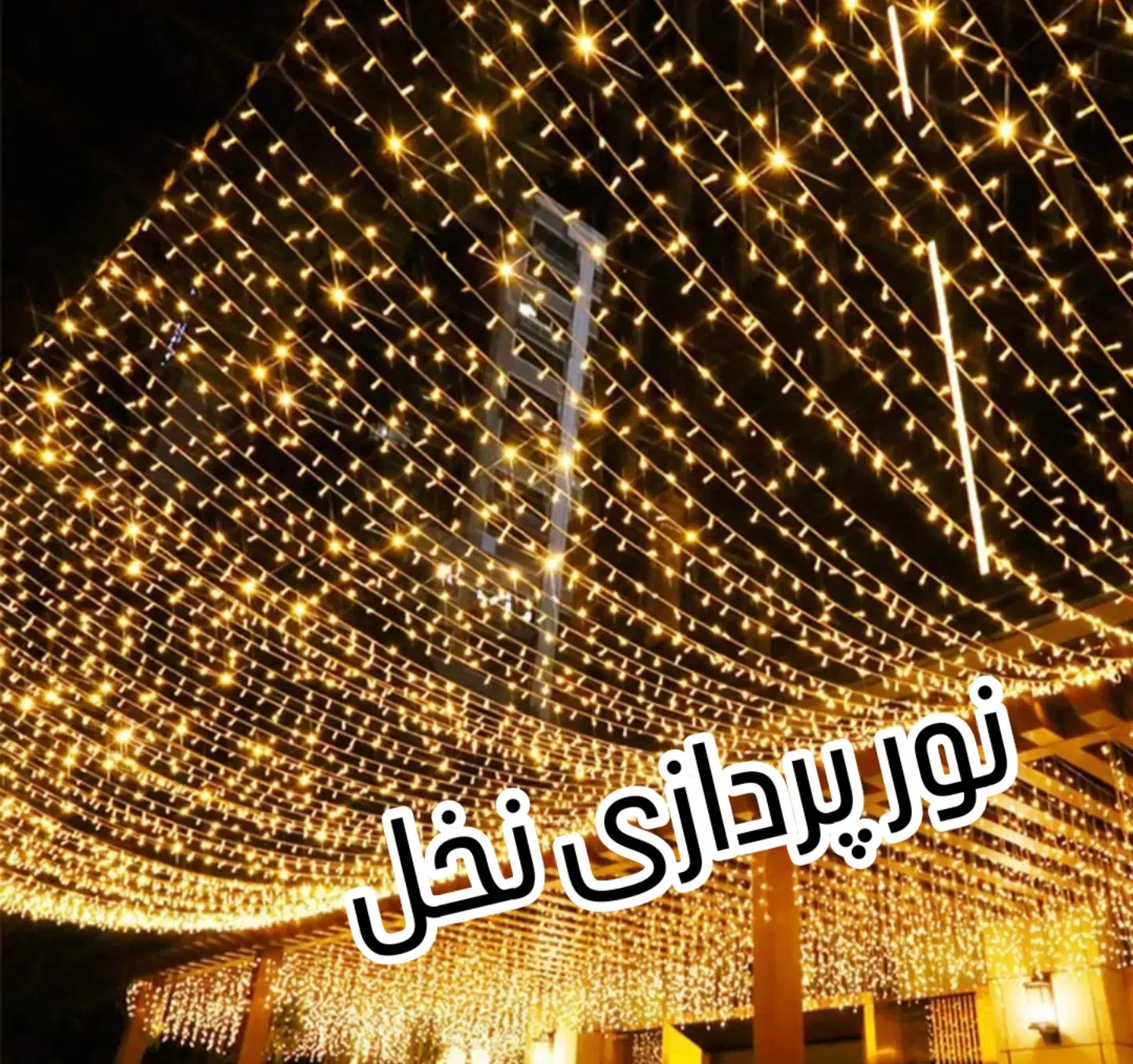 نور پردازی نخل|ریسه و چراغ تزئینی|بندرعباس, |دیوار