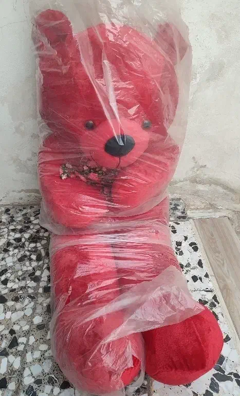 شاسخین (عروسک خرسی)|اسباببازی|شیراز, جوادیه|دیوار