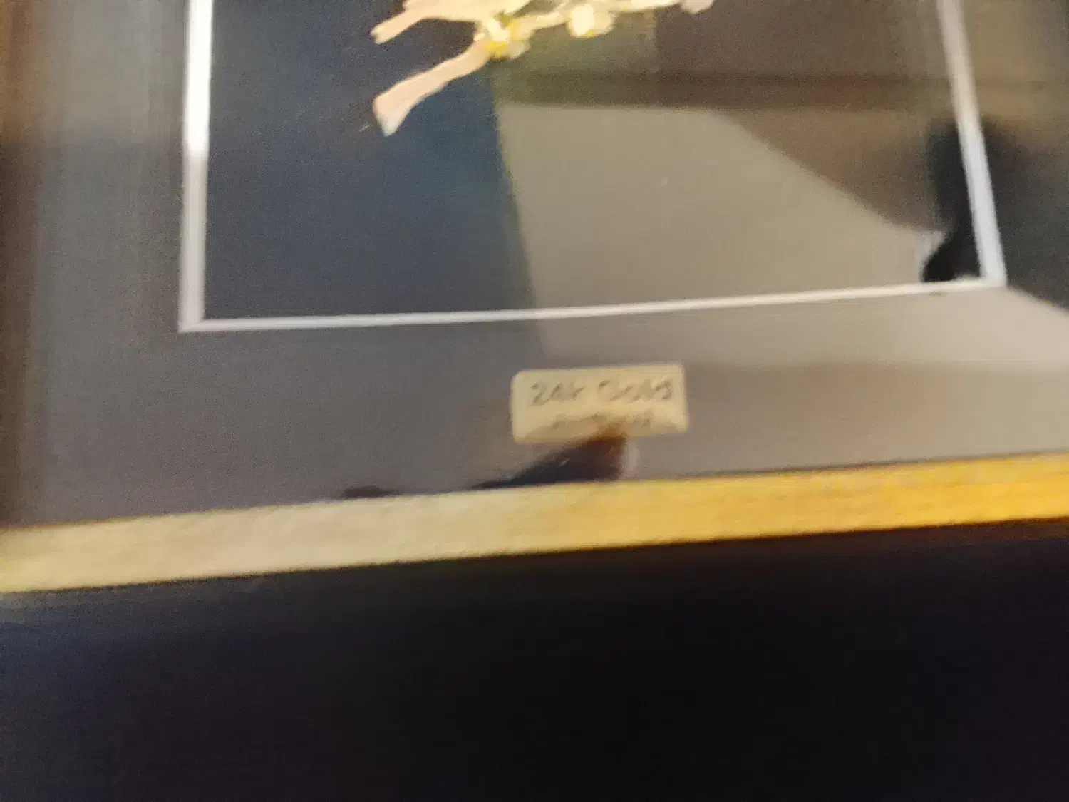 طلا زرین گلد|جواهرات|تهران, هلال احمر|دیوار