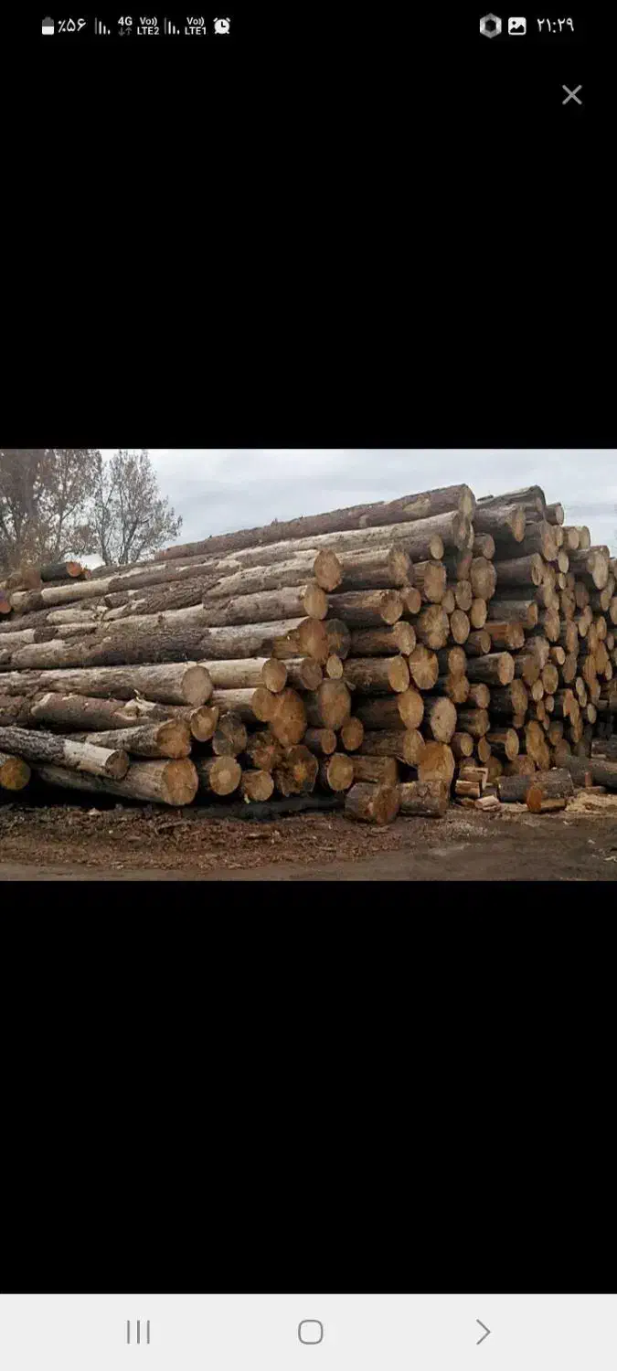 هرس وخرید چوب|خدمات باغبانی و درختکاری|بروجرد, |دیوار