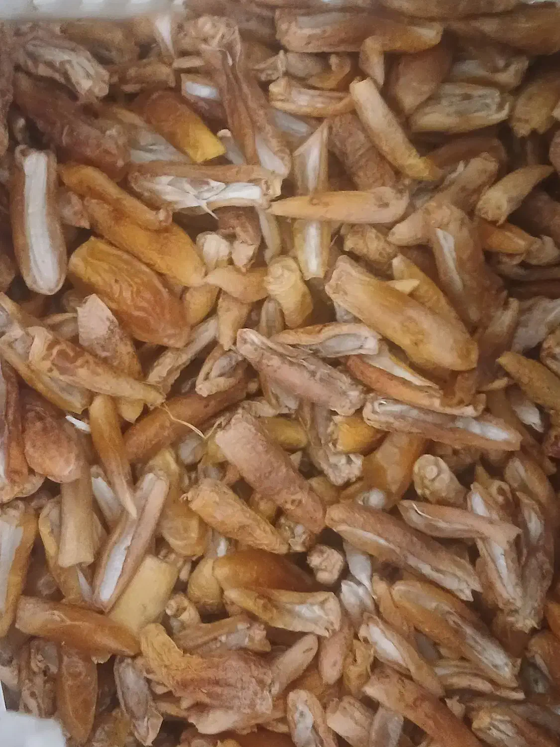 فروش انواع خرما تازه امسال نمایشگاه سیرجان|خوردنی و آشامیدنی|سیرجان, |دیوار
