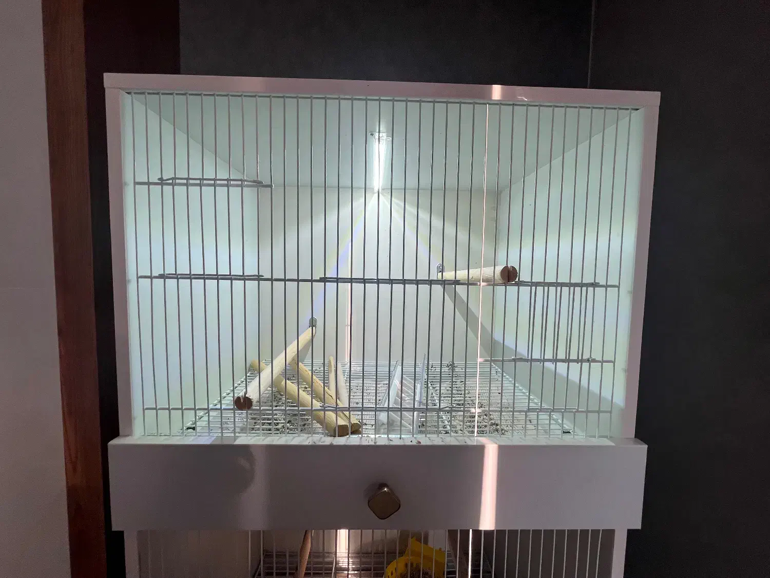 قفس اروپایی ۳ طبقه|لوازم جانبی حیوانات|شیراز, شهرک گلستان|دیوار