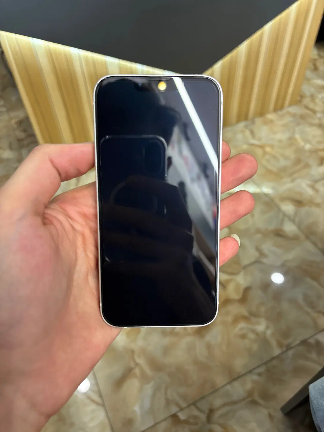 iPhone 13|موبایل|تهران, پاسداران|دیوار