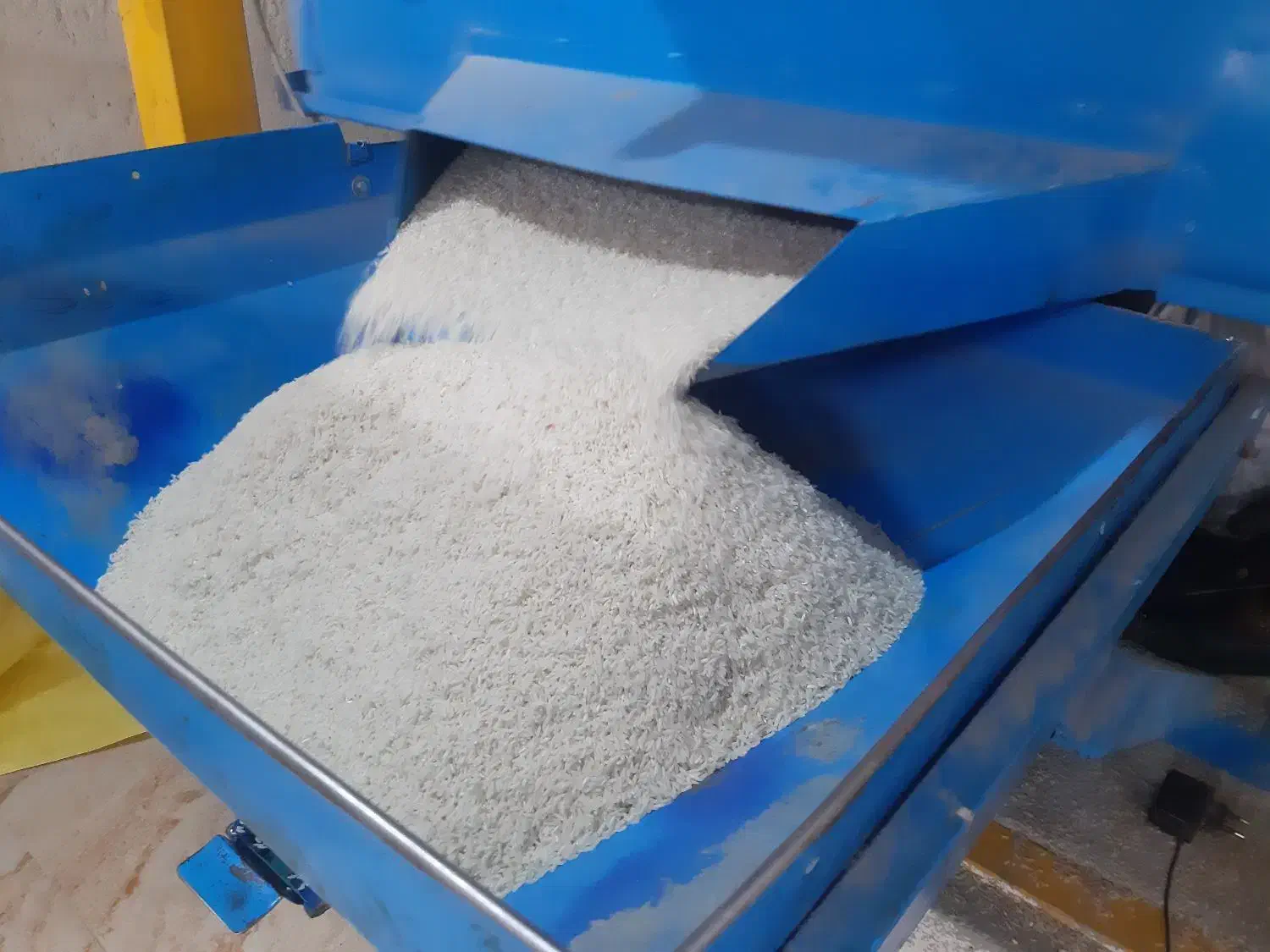 سردانه و نیم دانه هاشمی|خوردنی و آشامیدنی|اهر, |دیوار