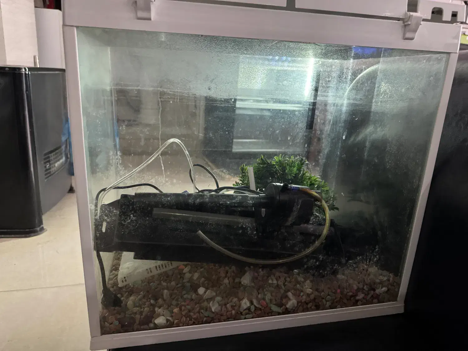 اکواریوم|ماهی|مرند, |دیوار