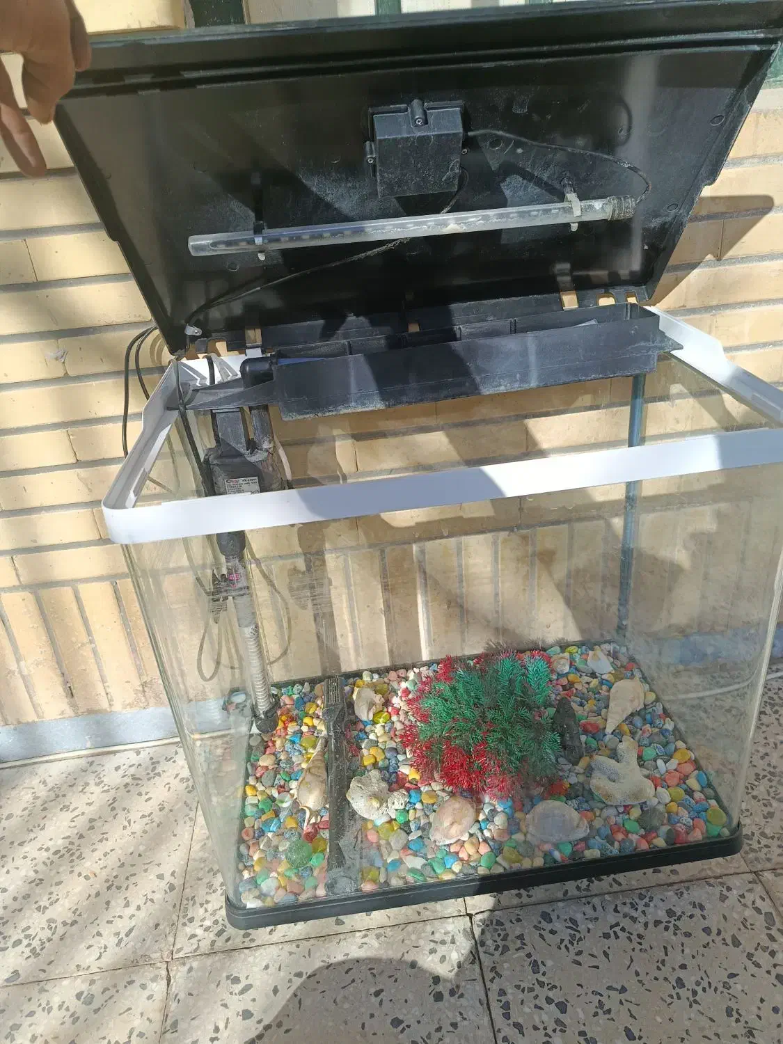 اکواریوم شیشه خم برند دلسا|ماهی|شاهینشهر, شهرک ردانی پور|دیوار